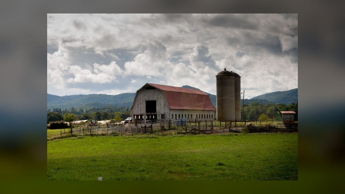 The 10 Best Asheville Wedding Venues in 2027 — figure 3