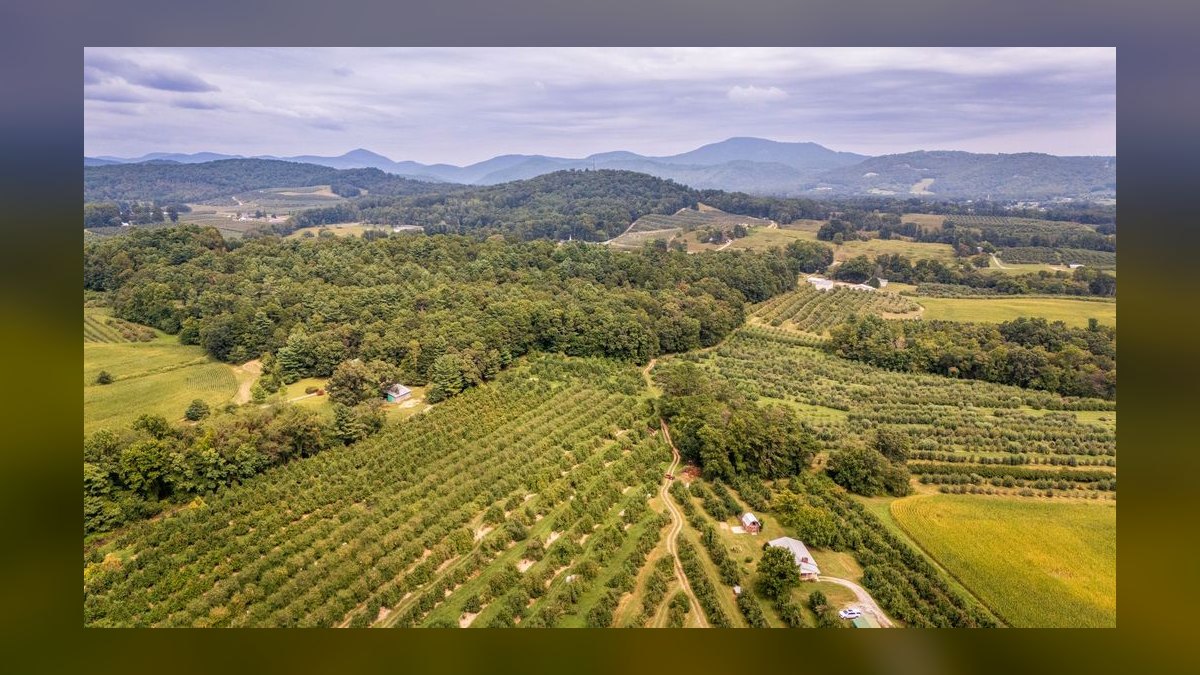 The 10 Best Asheville Wedding Venues in 2027 — figure 4