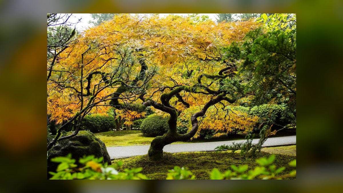 The 10 Best Portland, Oregon Wedding Venues in 2027 — figure 6
