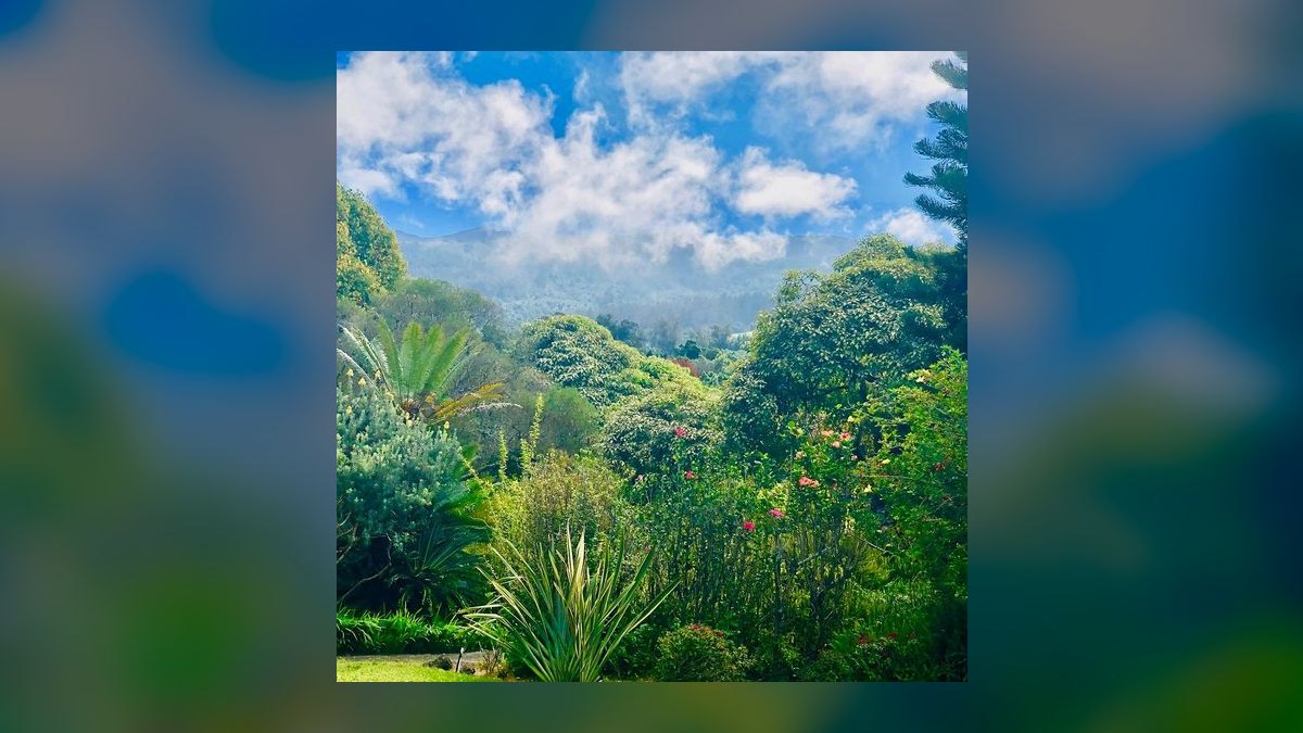 The 10 Best Maui Wedding Reception Sites in 2027 — figure 9