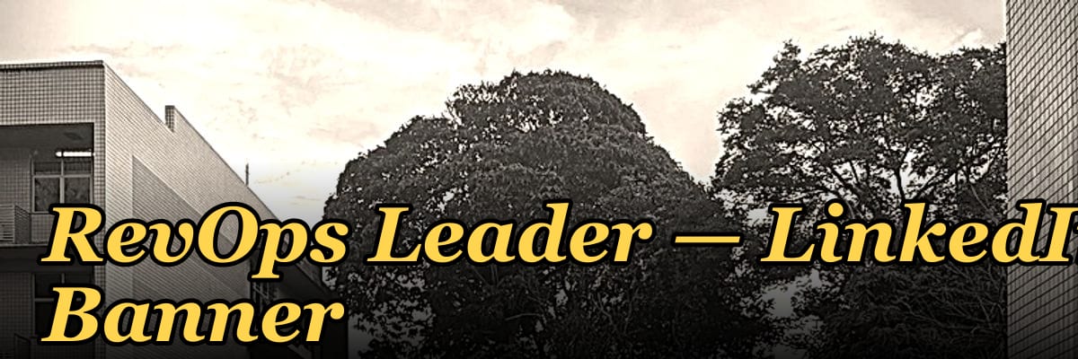 RevOps Leader — LinkedIn Banner