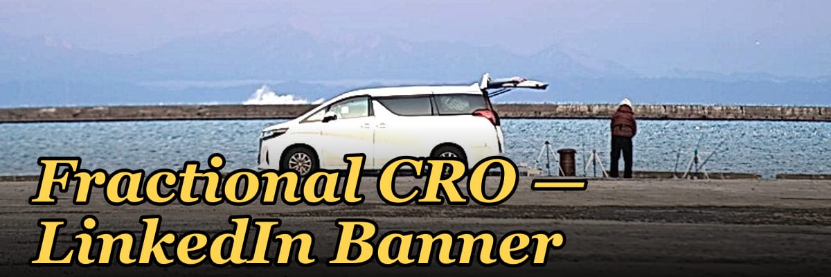 Fractional CRO — LinkedIn Banner
