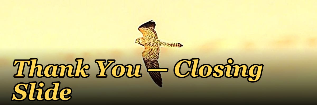 Thank You — Closing Slide
