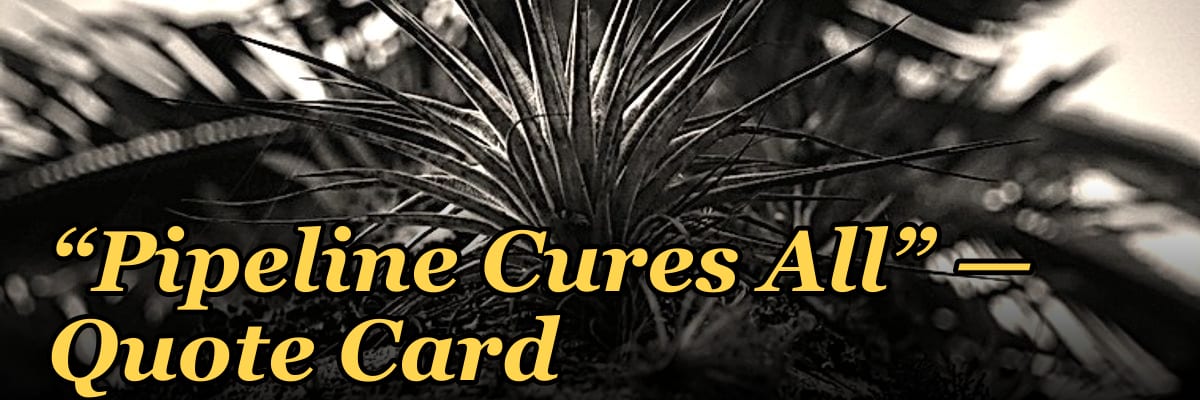 “Pipeline Cures All” — Quote Card
