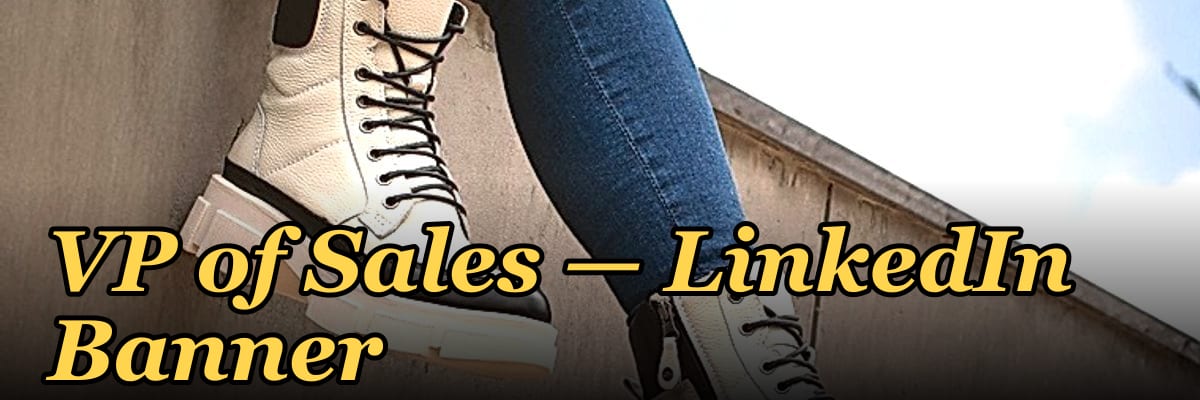 VP of Sales — LinkedIn Banner