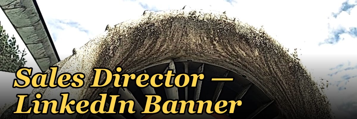 Sales Director — LinkedIn Banner