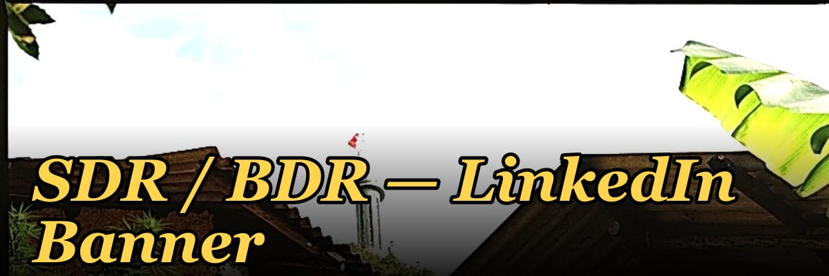 SDR / BDR — LinkedIn Banner