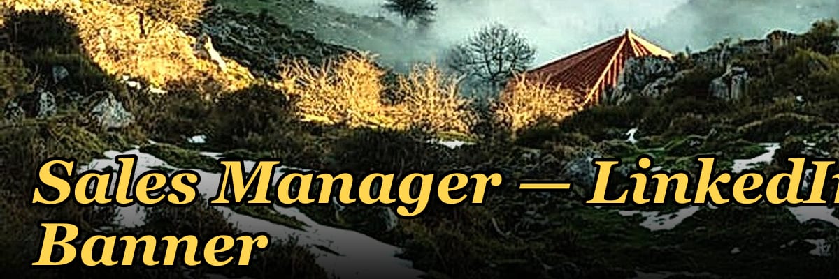 Sales Manager — LinkedIn Banner