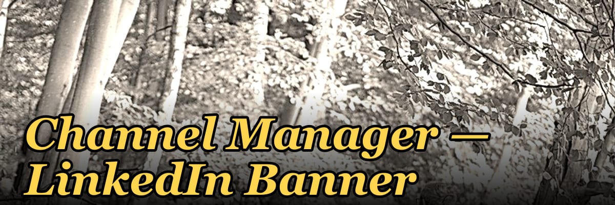 Channel Manager — LinkedIn Banner
