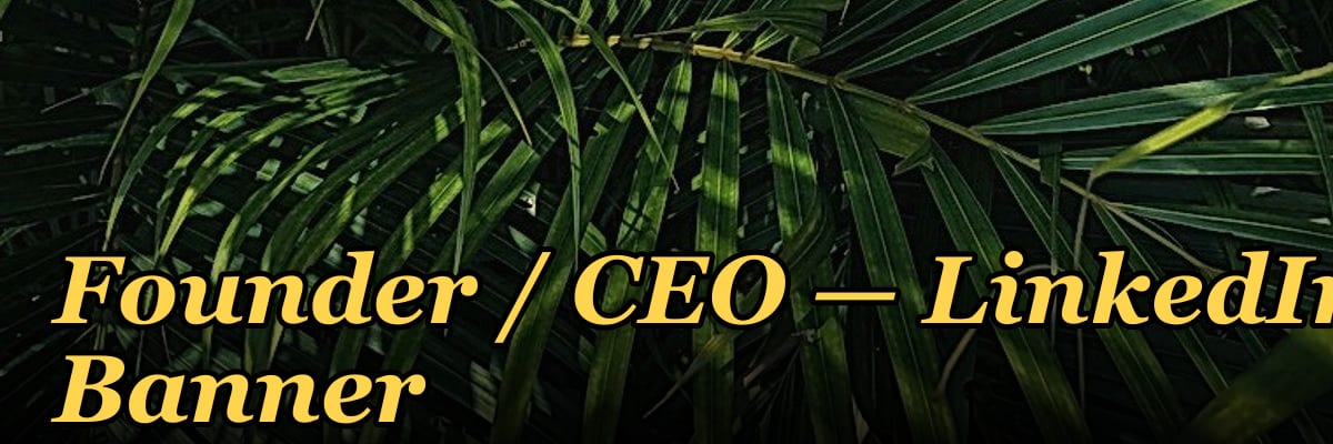 Founder / CEO — LinkedIn Banner