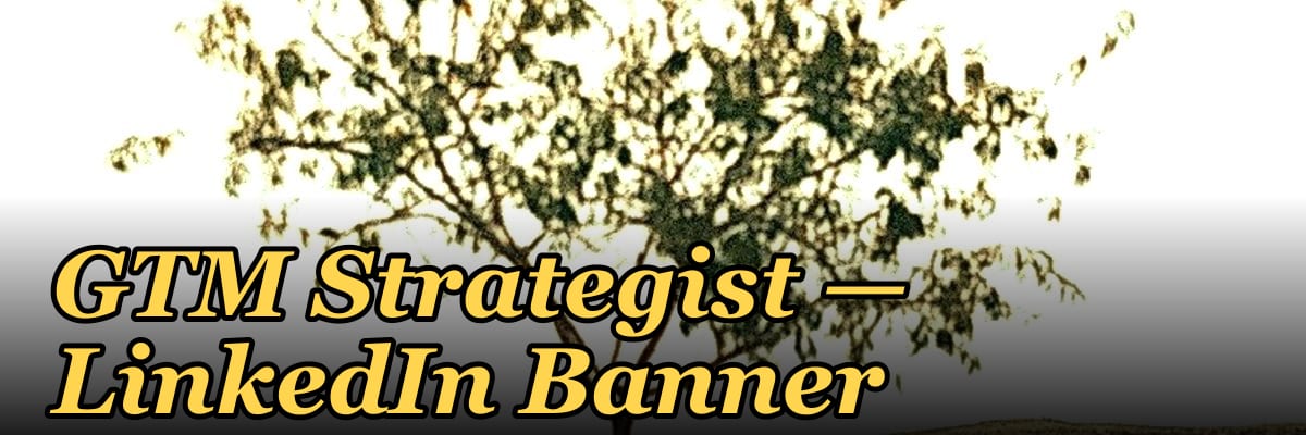GTM Strategist — LinkedIn Banner