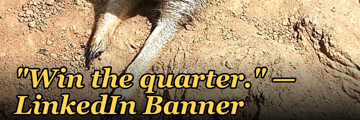 "Win the quarter." — LinkedIn Banner