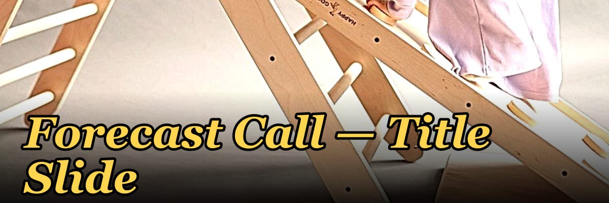 Forecast Call — Title Slide