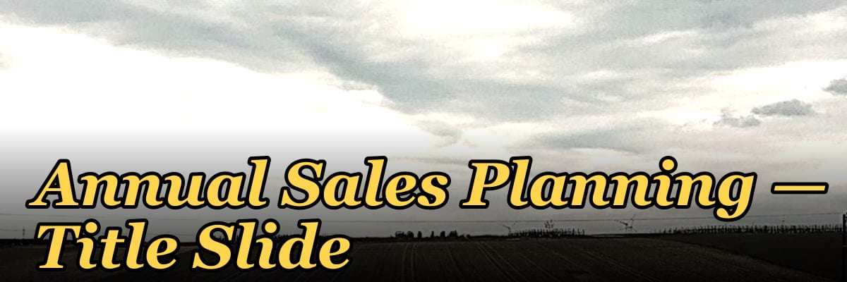 Annual Sales Planning — Title Slide