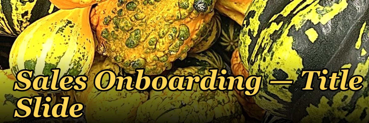 Sales Onboarding — Title Slide