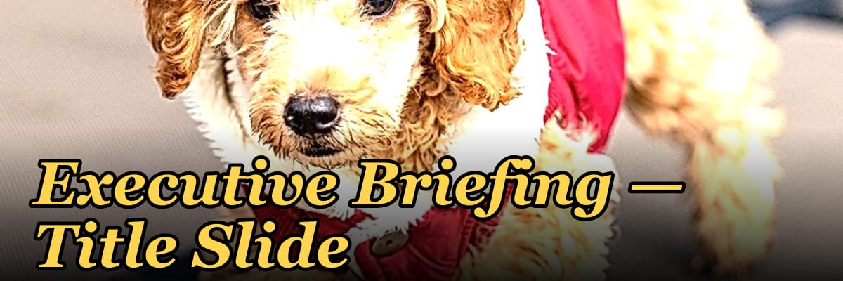 Executive Briefing — Title Slide