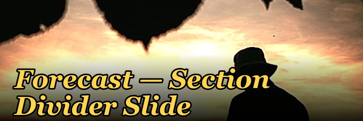 Forecast — Section Divider Slide