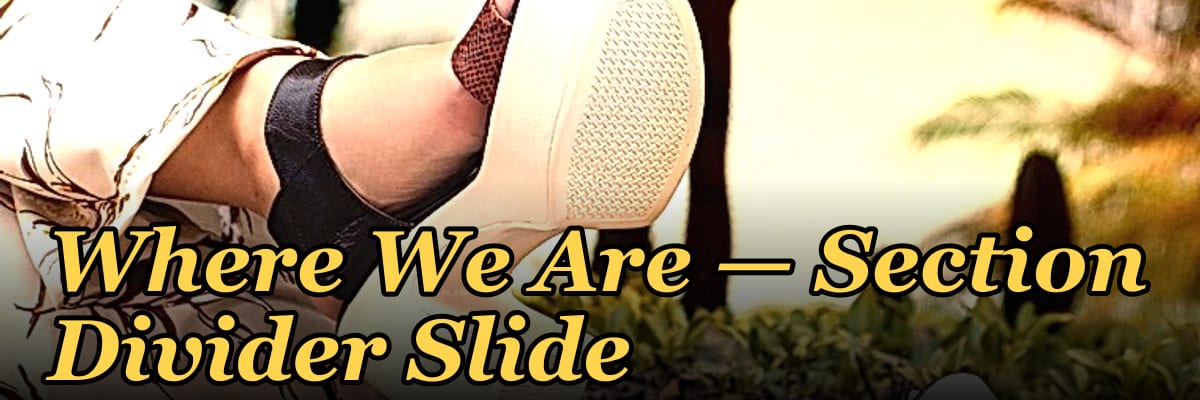 Where We Are — Section Divider Slide