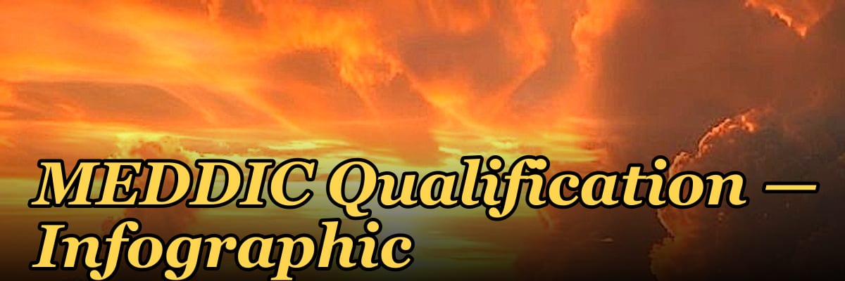MEDDIC Qualification — Infographic
