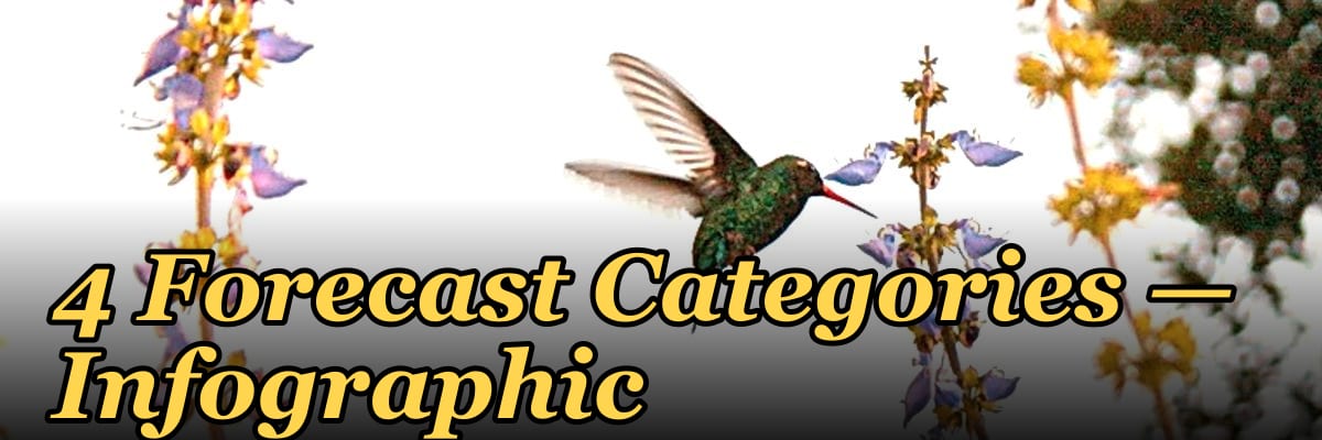 4 Forecast Categories — Infographic
