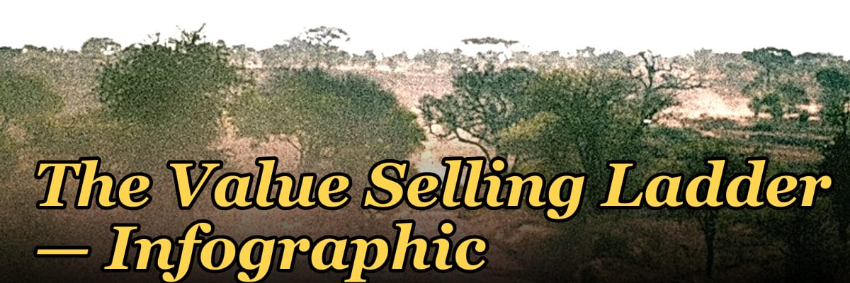 The Value Selling Ladder — Infographic