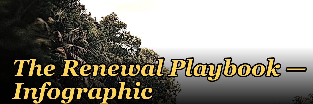 The Renewal Playbook — Infographic