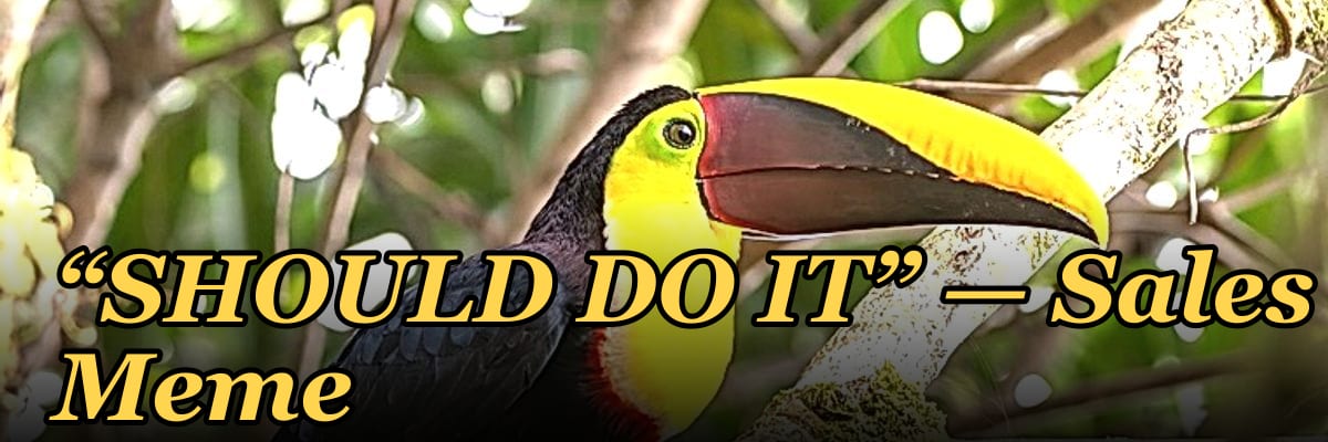 “SHOULD DO IT” — Sales Meme