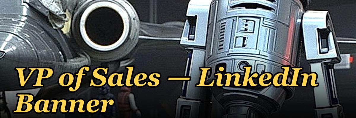VP of Sales — LinkedIn Banner