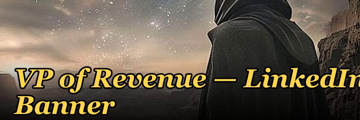 VP of Revenue — LinkedIn Banner