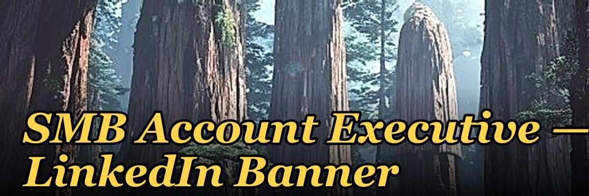 SMB Account Executive — LinkedIn Banner