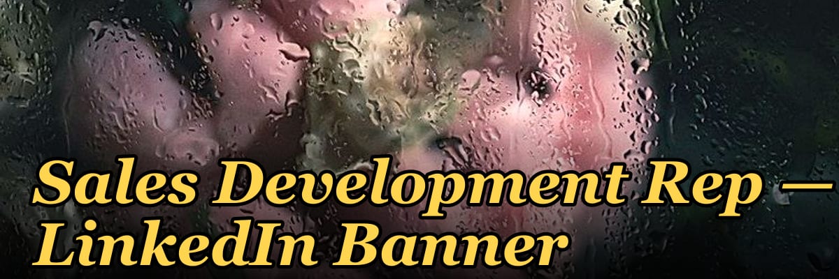 Sales Development Rep — LinkedIn Banner