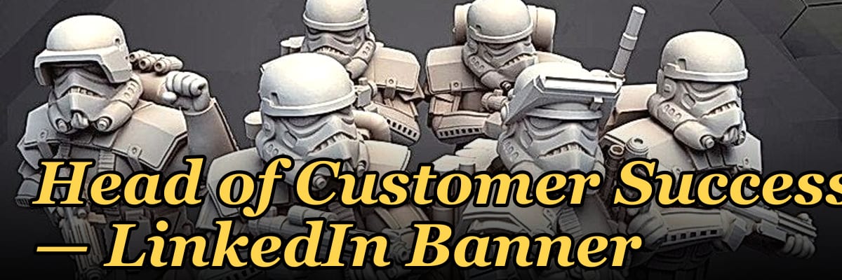 Head of Customer Success — LinkedIn Banner