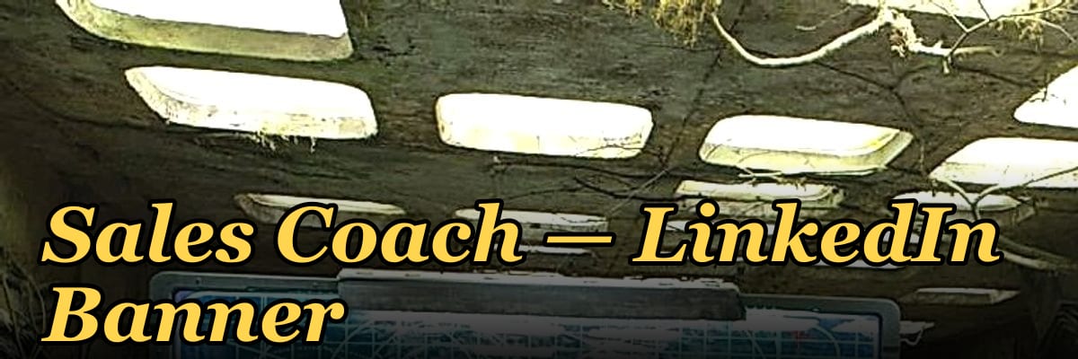 Sales Coach — LinkedIn Banner