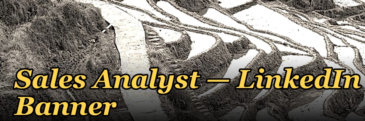 Sales Analyst — LinkedIn Banner