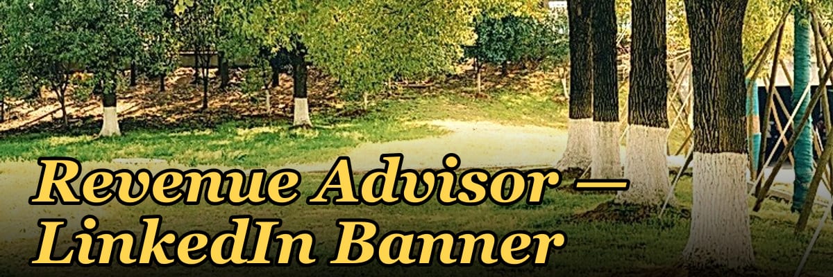 Revenue Advisor — LinkedIn Banner