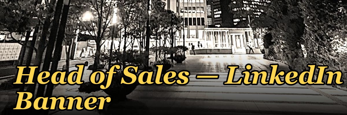 Head of Sales — LinkedIn Banner