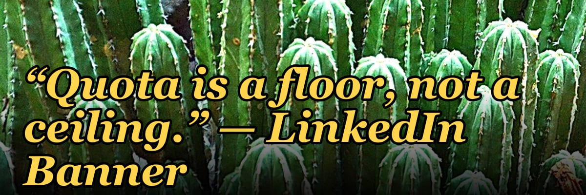 “Quota is a floor, not a ceiling.” — LinkedIn Banner