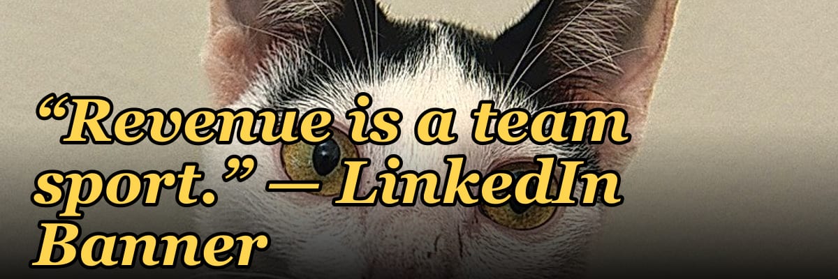 “Revenue is a team sport.” — LinkedIn Banner