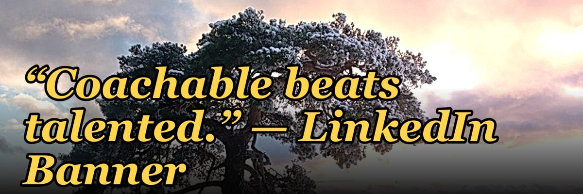 “Coachable beats talented.” — LinkedIn Banner