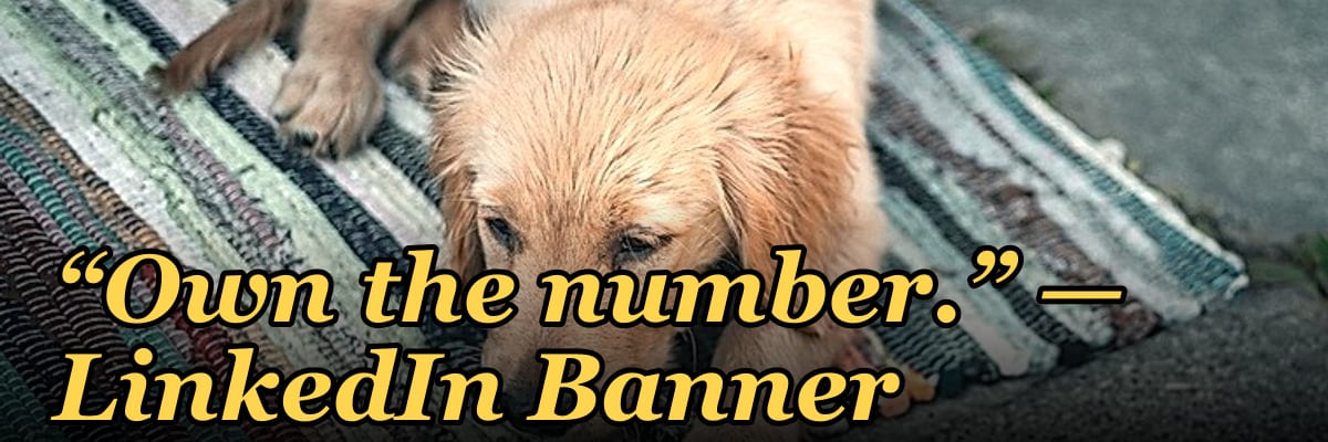“Own the number.” — LinkedIn Banner