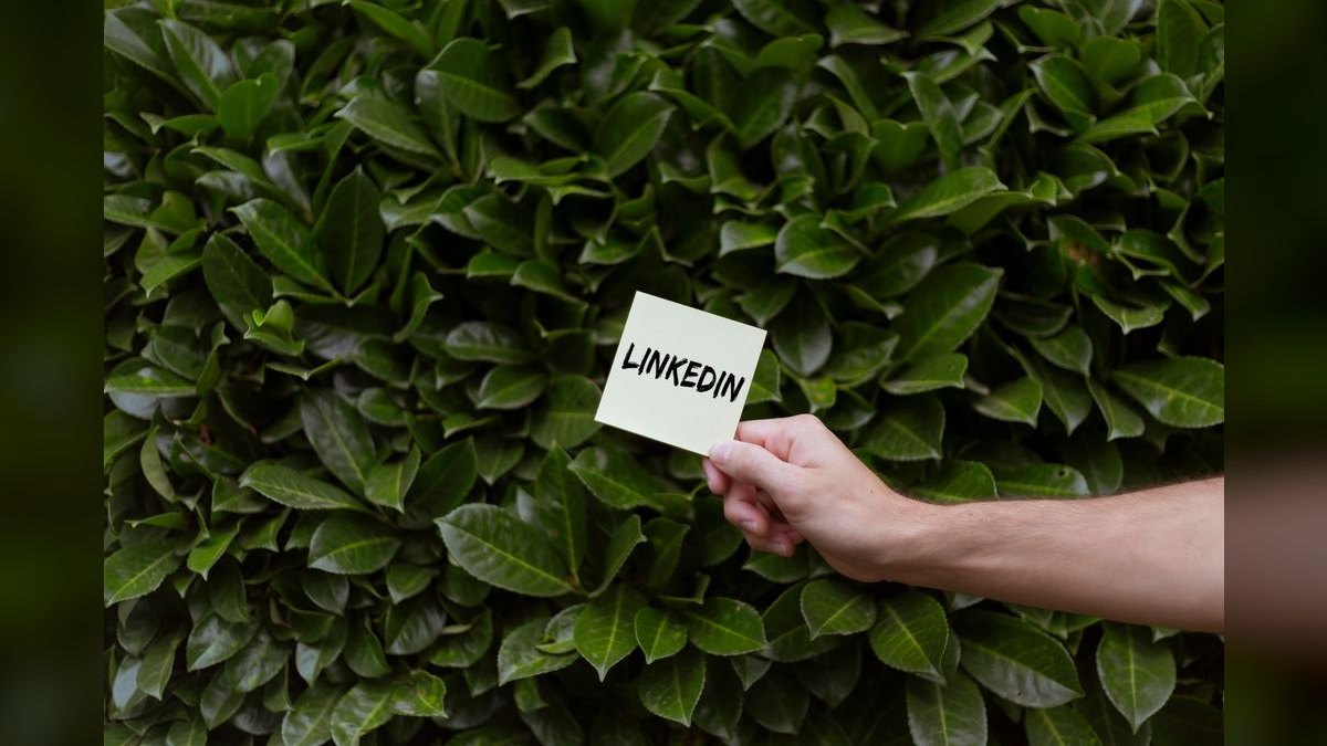 “The riches are in the niches.” — LinkedIn Banner — figure 1