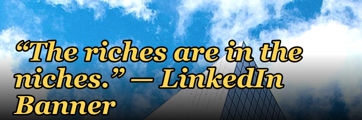 “The riches are in the niches.” — LinkedIn Banner