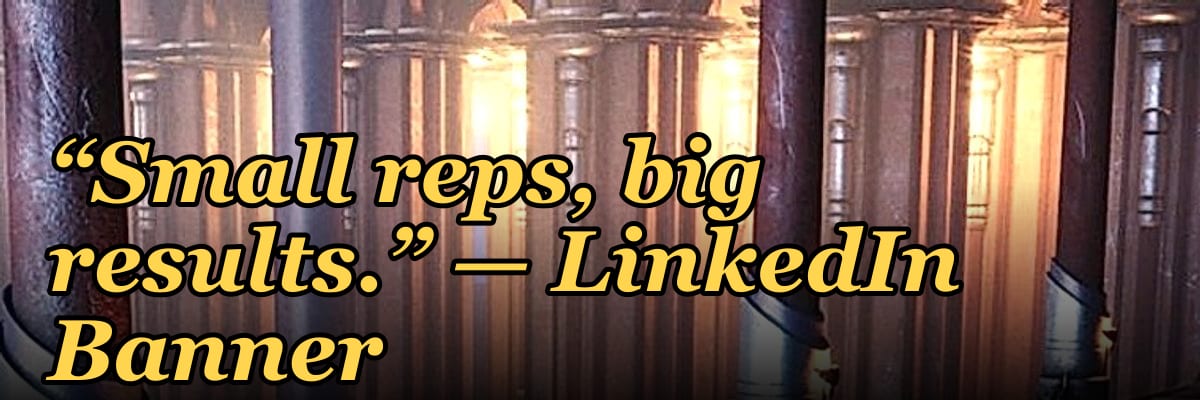 “Small reps, big results.” — LinkedIn Banner