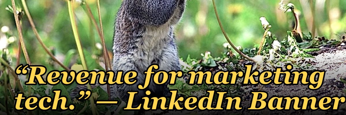 “Revenue for marketing tech.” — LinkedIn Banner