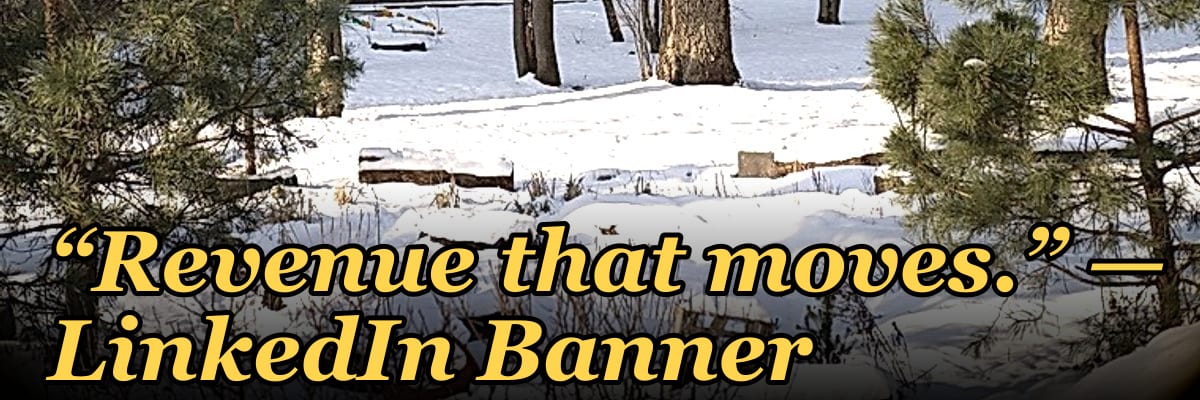“Revenue that moves.” — LinkedIn Banner
