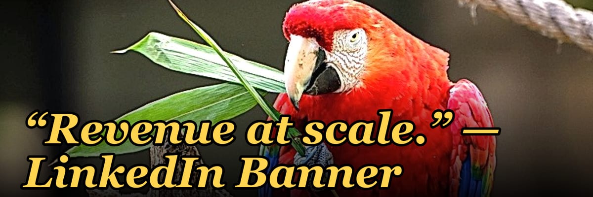 “Revenue at scale.” — LinkedIn Banner