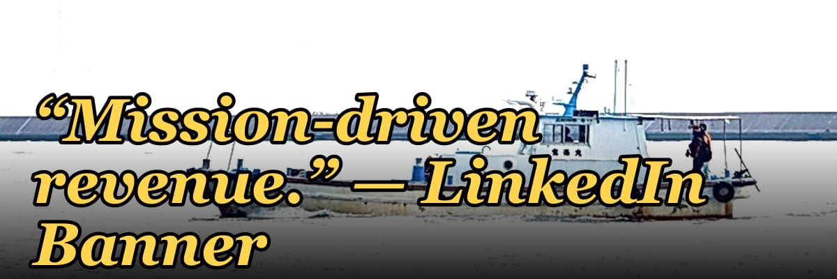 “Mission-driven revenue.” — LinkedIn Banner