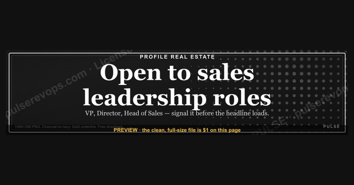“Open to sales leadership roles.” — LinkedIn Banner