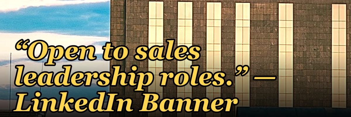 “Open to sales leadership roles.” — LinkedIn Banner