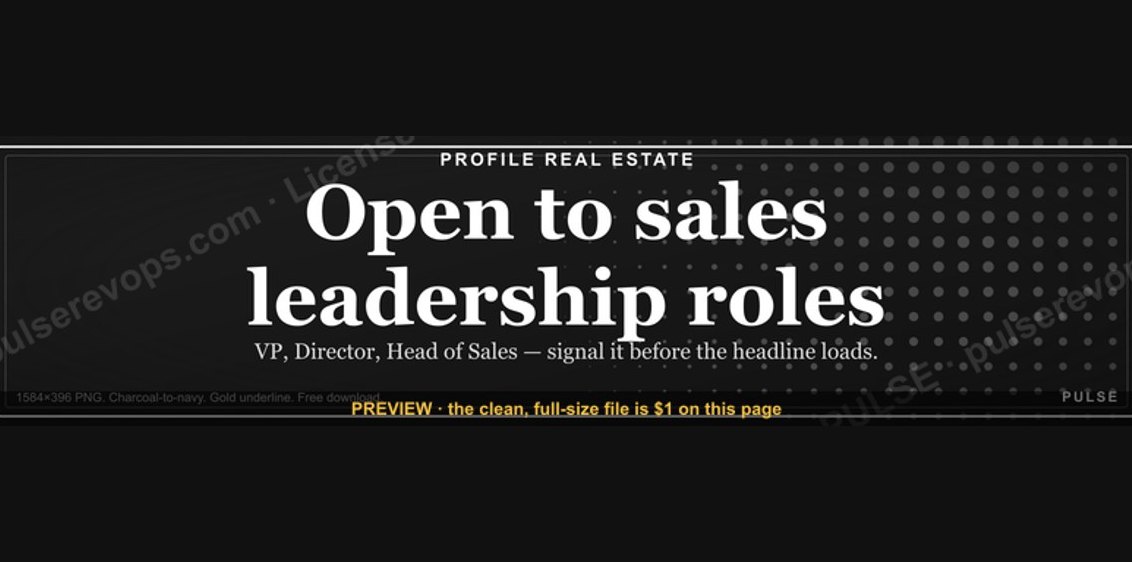 “Open to sales leadership roles.” — LinkedIn Banner